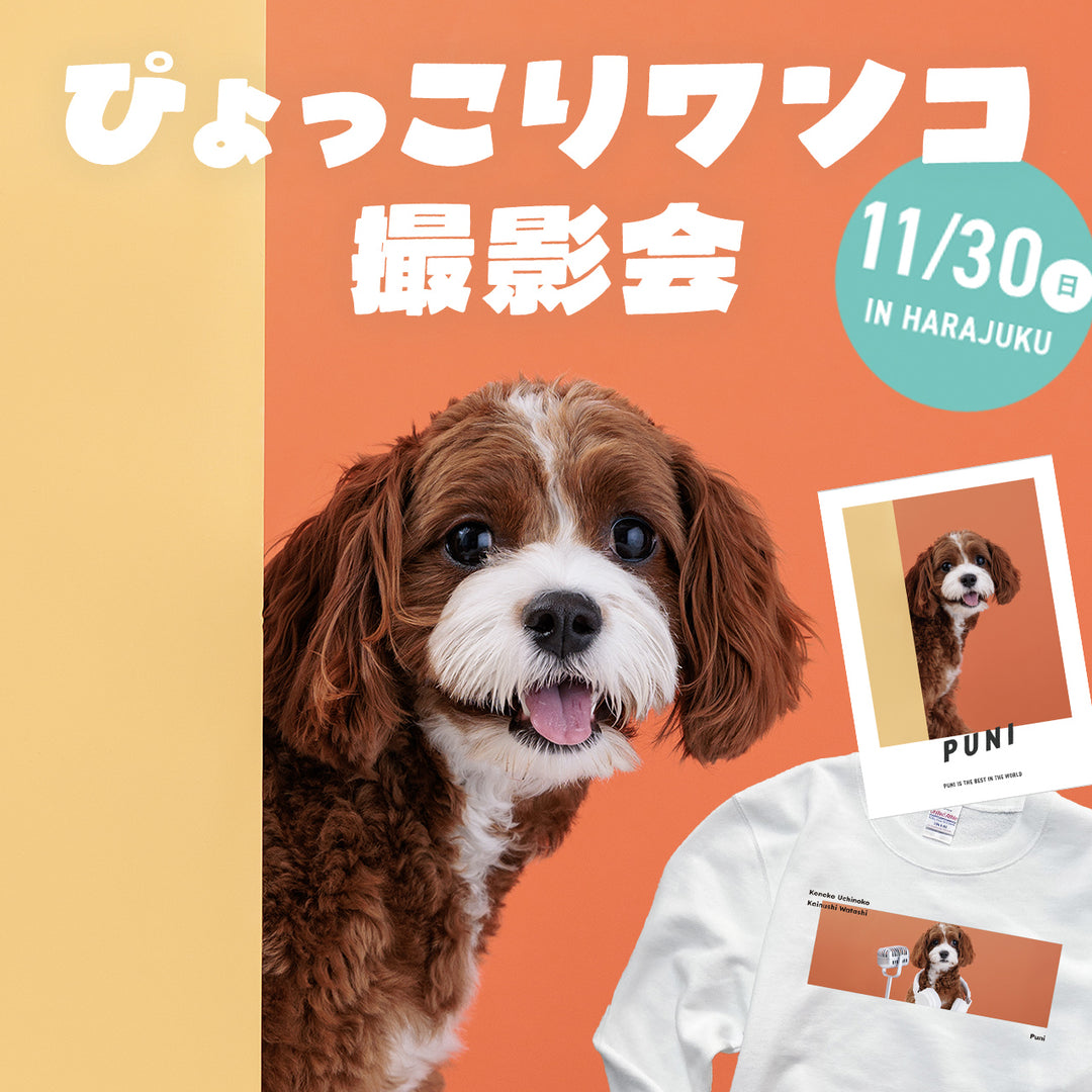 ぴょっこりワンコ撮影&受注会 チケット 11/30