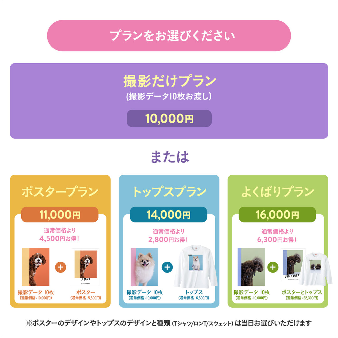 ぴょっこりワンコ撮影&受注会 チケット 11/30