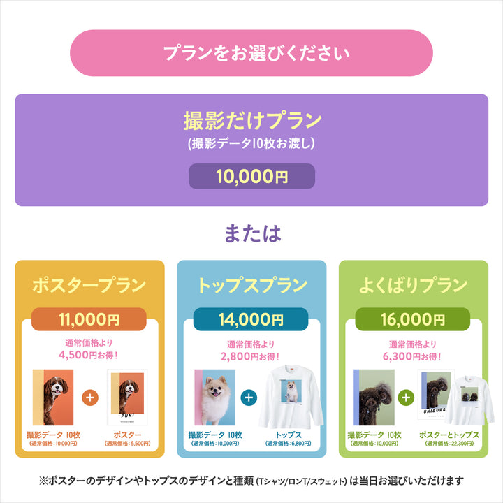 ぴょっこりワンコ撮影&受注会 チケット 11/30