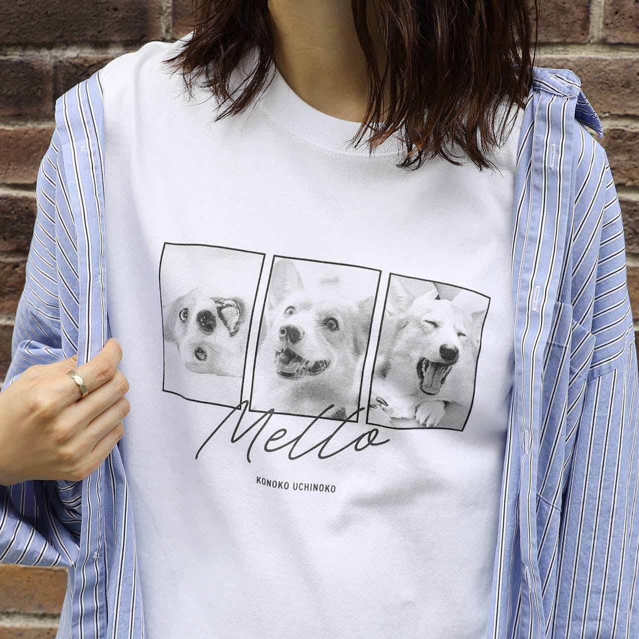 tshirts-story_01-wear.jpg?v= 