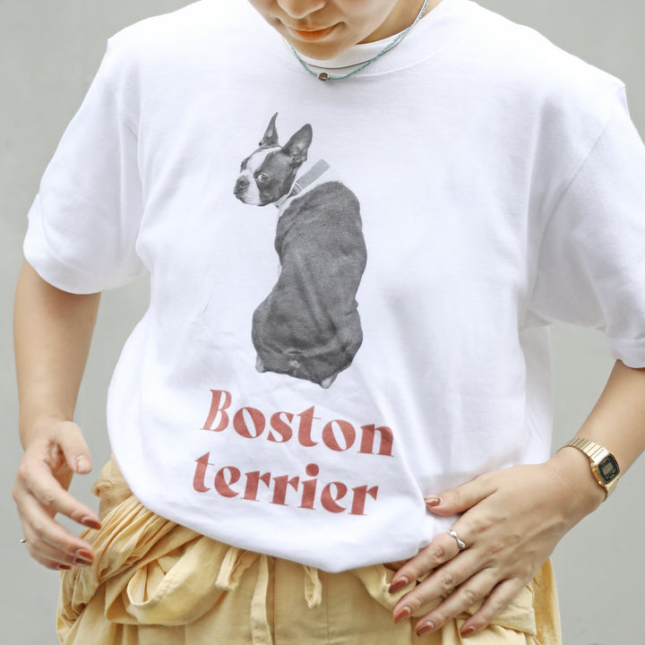 犬種Tシャツ（ボストンテリア）