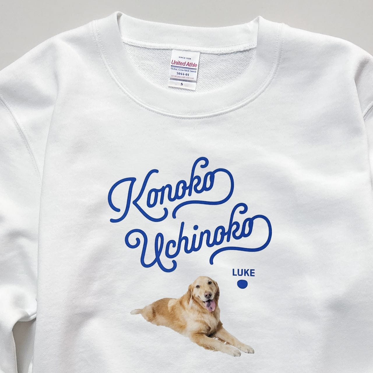 img_01_8a7e4a31-de3d-40be-9337