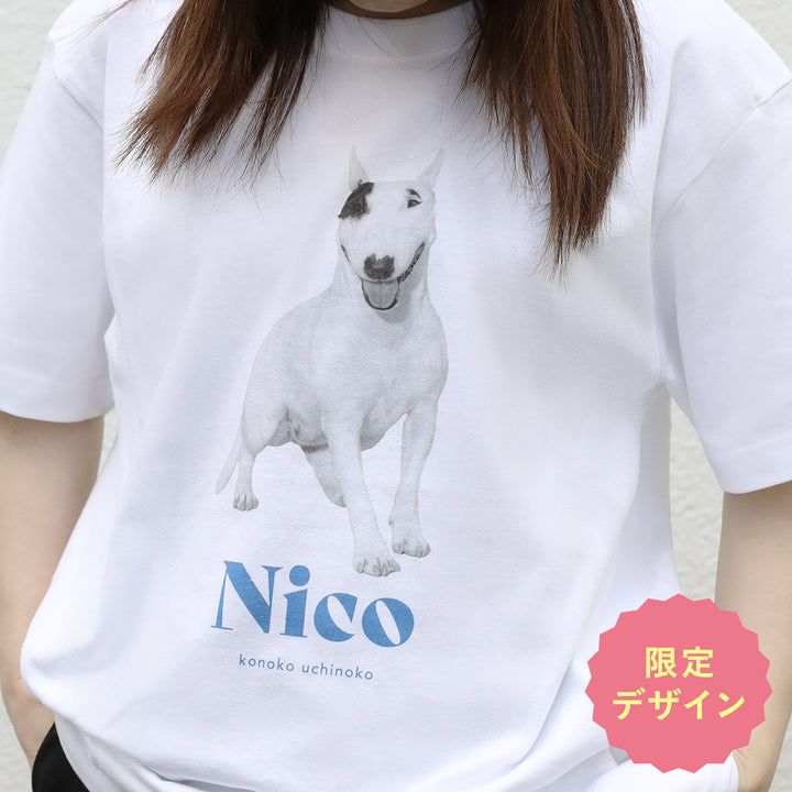 [A designer's collection 2026] ヴィンテージ（ブルー）