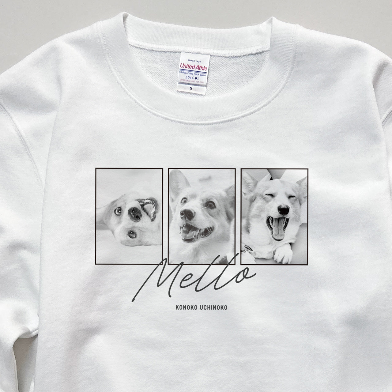 img_01_c1ae9901-273c-4fbd-992d