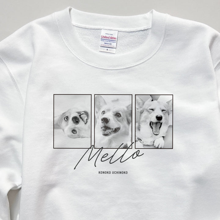 愛犬家のためのうちの子スウェット【ストーリー】