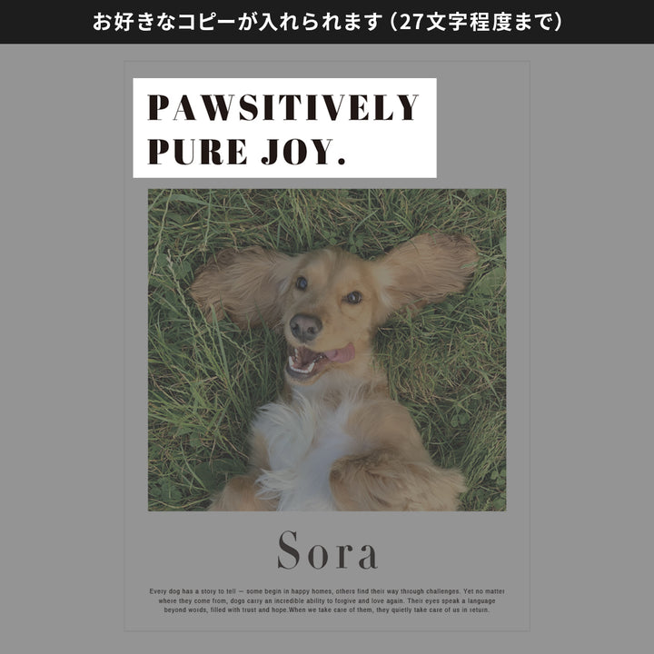 うちの子ポスター【メッセージ】