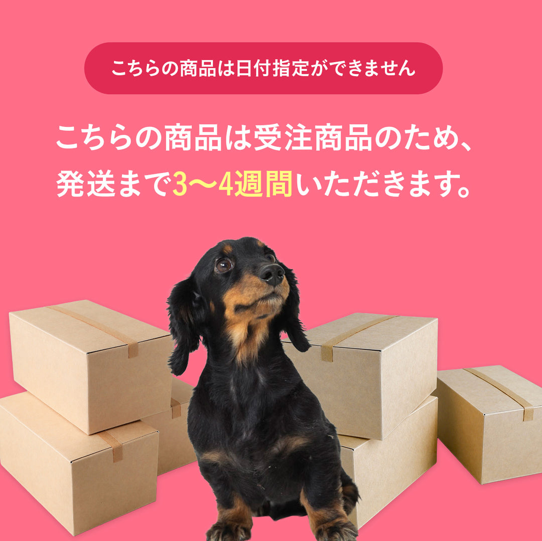 犬種Tシャツ（ダックスフンド）
