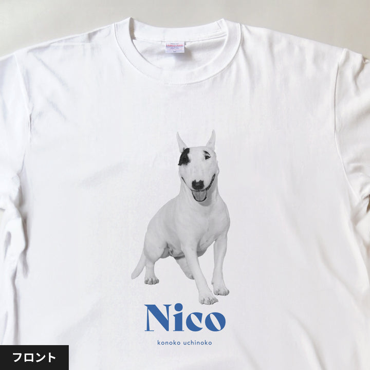 [A designer's collection 2026] ヴィンテージ（ブルー）