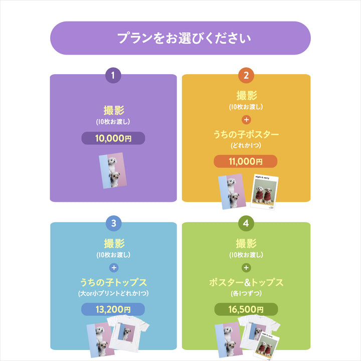 ぴょっこりワンコ撮影＆受注会 チケット 10/19