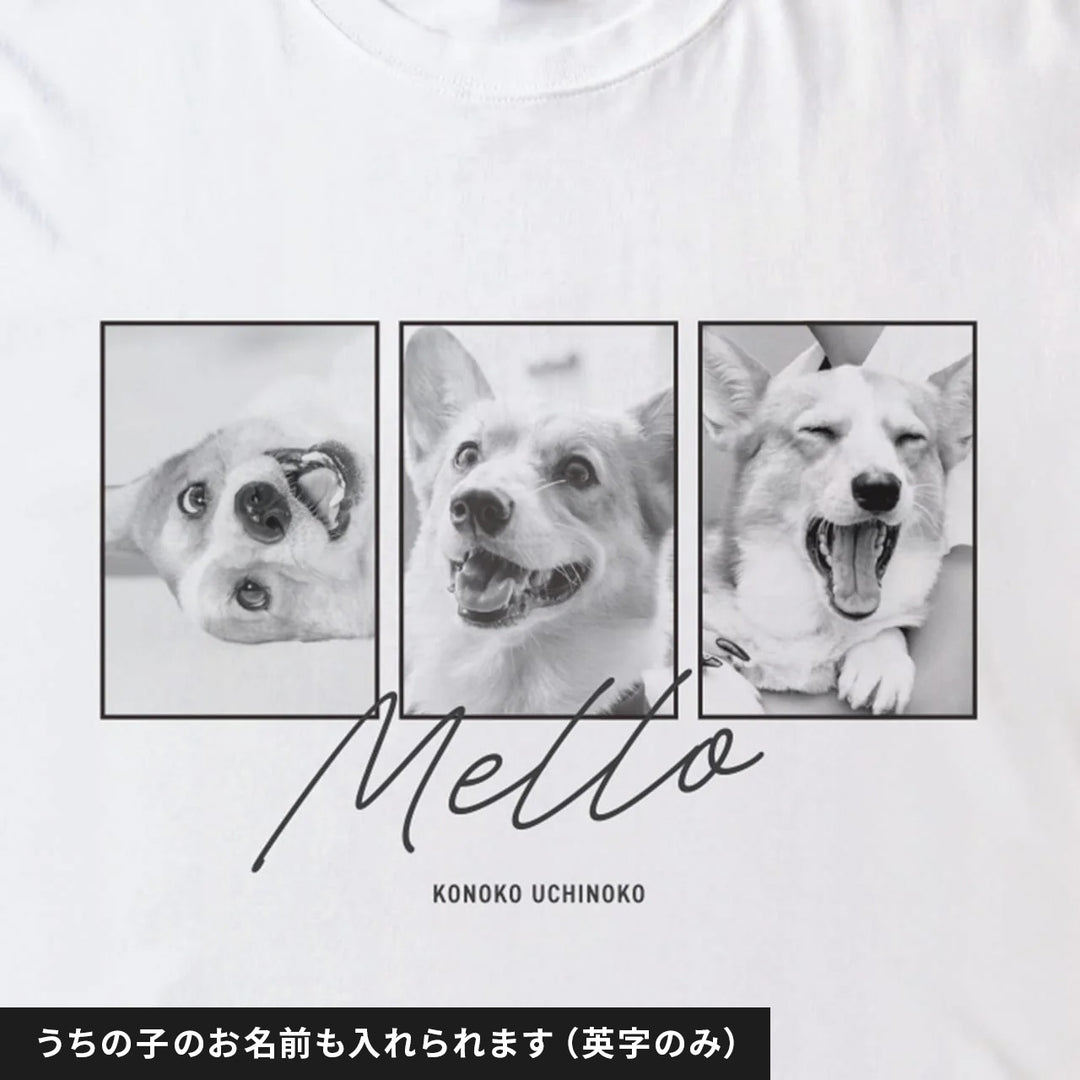 愛犬家のためのうちの子スウェット【ストーリー】