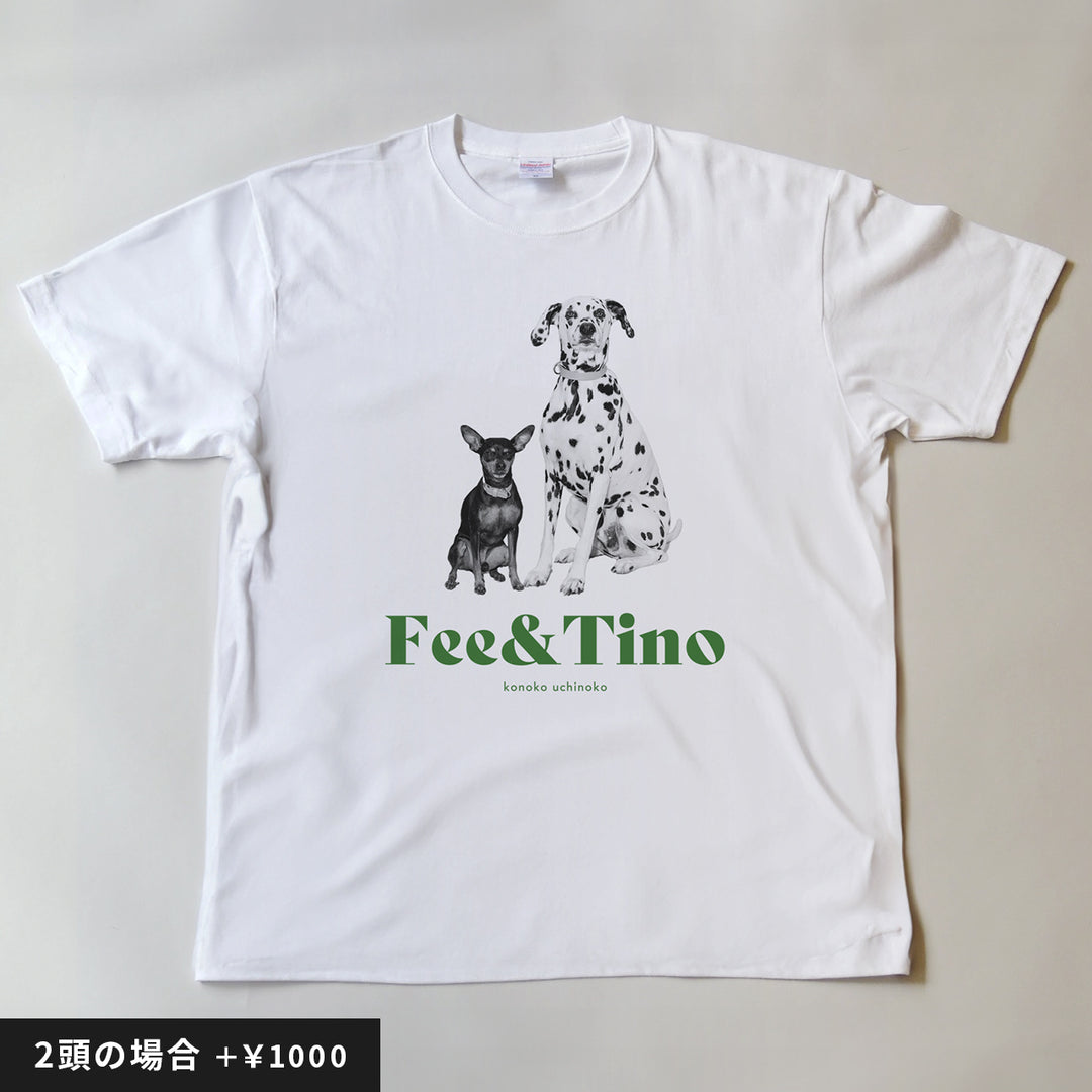 [A designer's collection 2026] ヴィンテージ（グリーン）