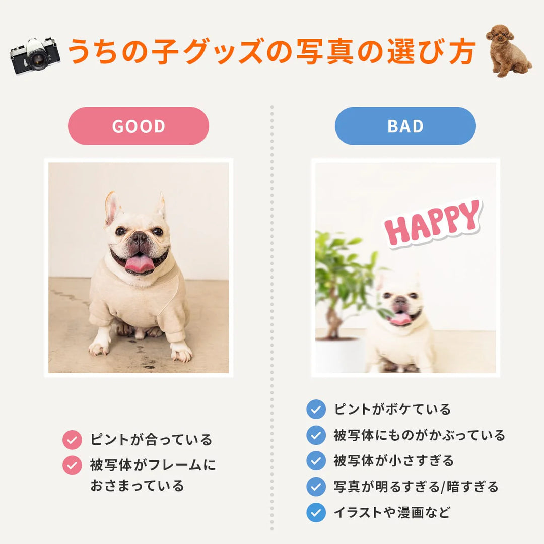 愛犬家のためのうちの子スウェット【フォトグラフ　ピンク】