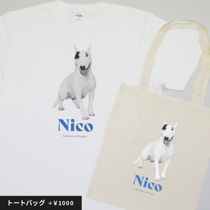 [A designer's collection 2026] ヴィンテージ（ブルー）