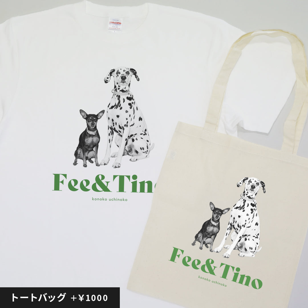 [A designer's collection 2026] ヴィンテージ（グリーン）