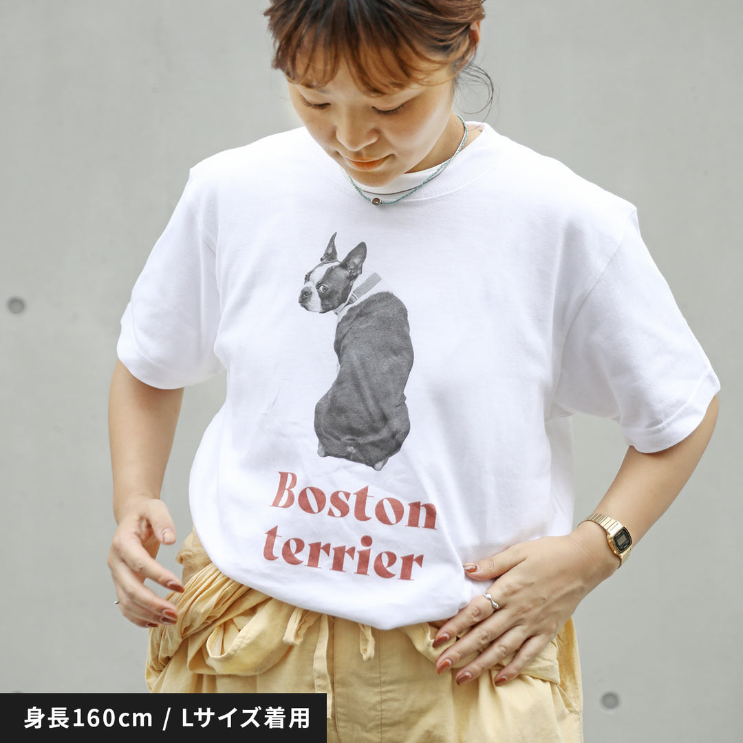 犬種Tシャツ（ボストンテリア）