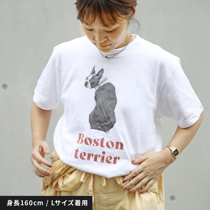 犬種Tシャツ（ボストンテリア）