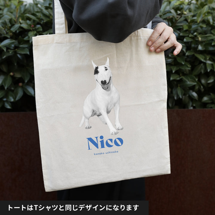 [A designer's collection 2026] ヴィンテージ（ブルー）