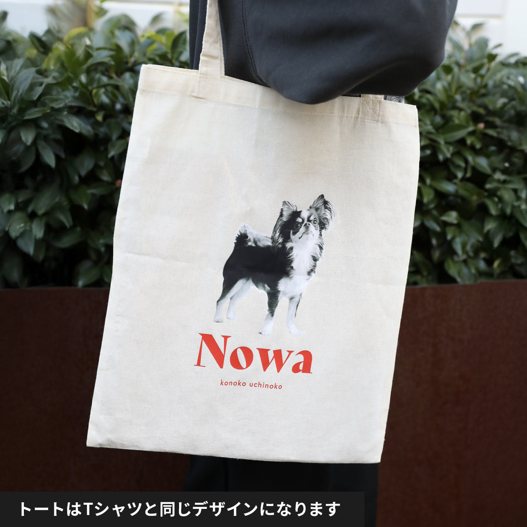 [A designer's collection 2026] ヴィンテージ（レッド）