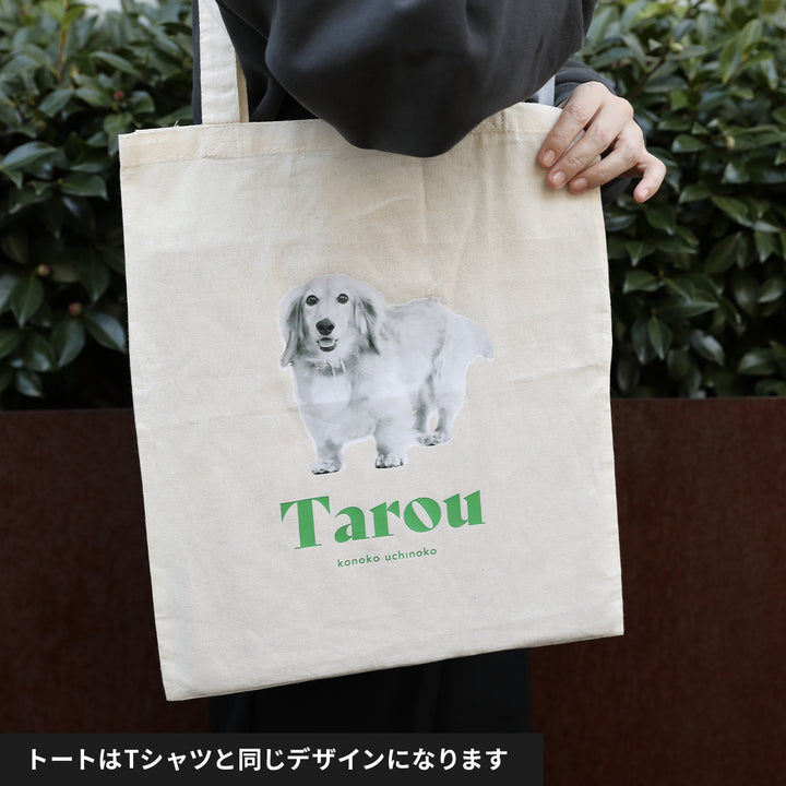 [A designer's collection 2026] ヴィンテージ（グリーン）