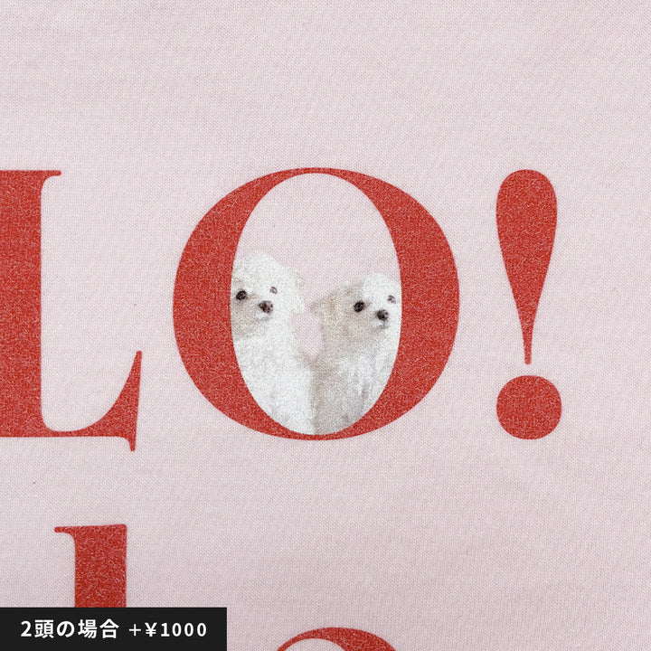 うちの子Tシャツ（HELLO! ライトブルー）