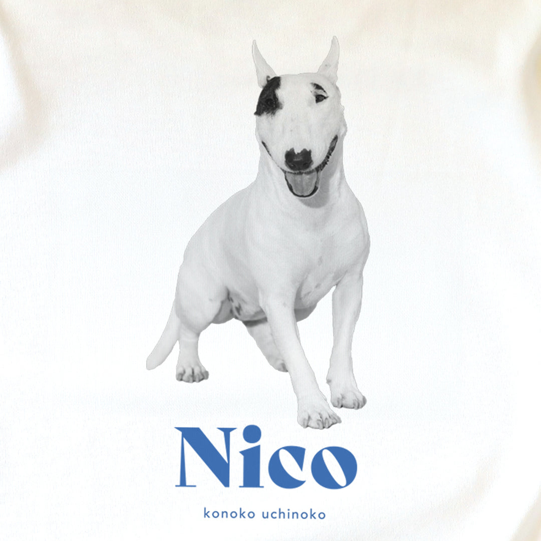 [A designer's collection 2026] ヴィンテージ（ブルー）