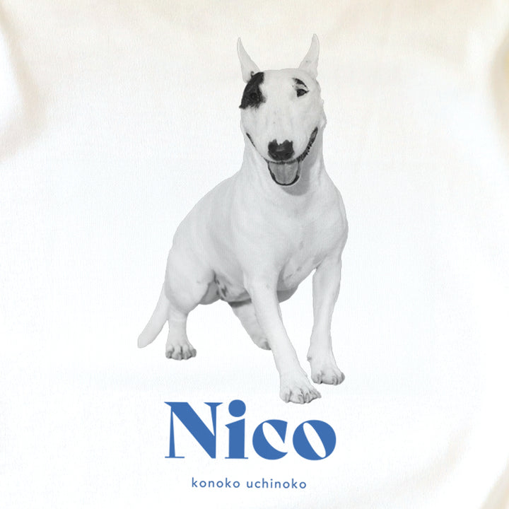 [A designer's collection 2026] ヴィンテージ（ブルー）