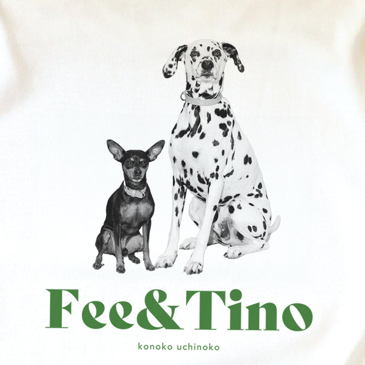 [A designer's collection 2026] ヴィンテージ（グリーン）