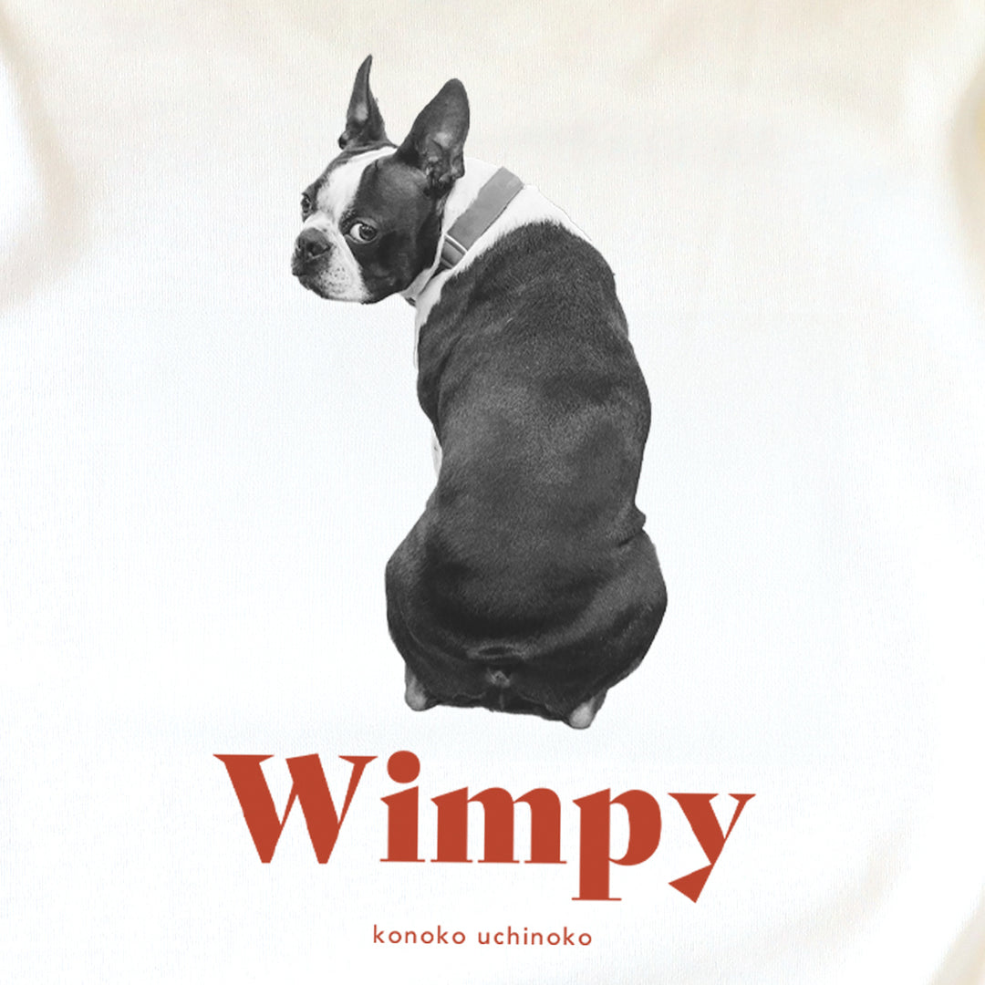 [A designer's collection 2026] ヴィンテージ（レッド）