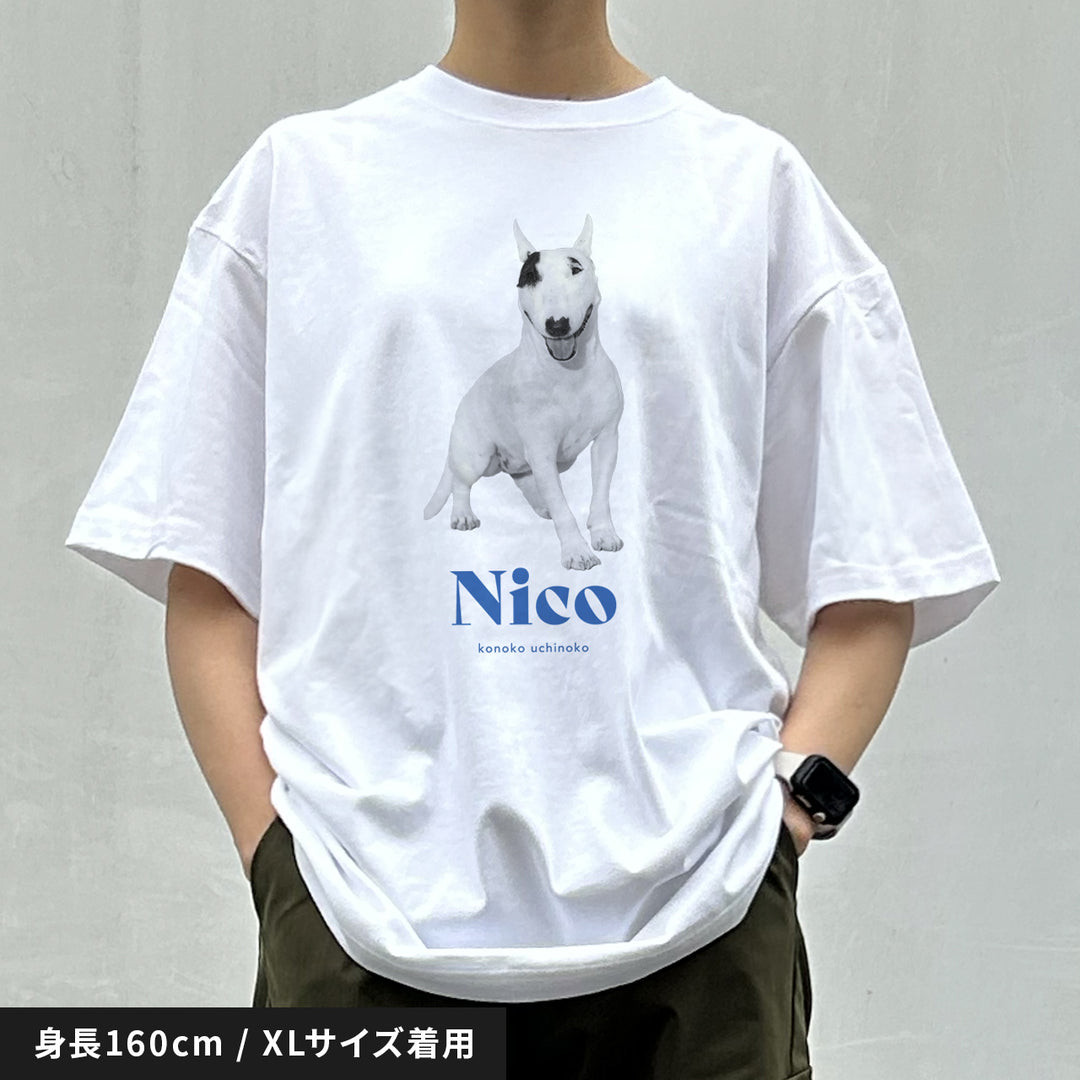 [A designer's collection 2026] ヴィンテージ（ブルー）