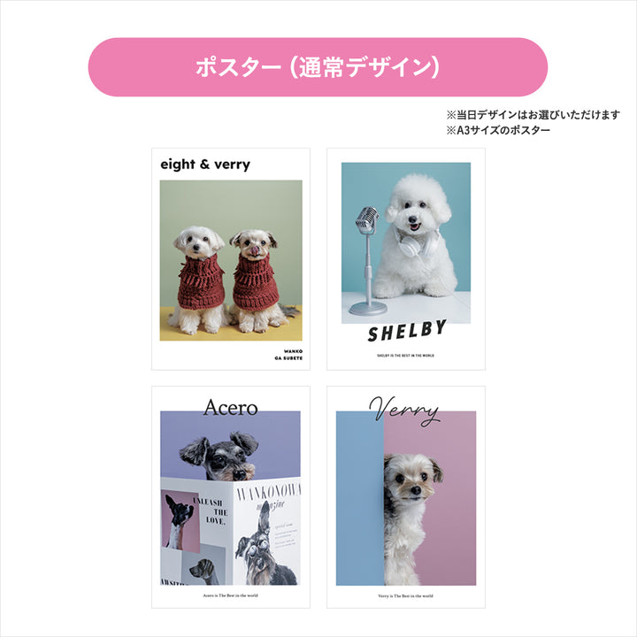 ぴょっこりワンコ撮影＆受注会 チケット 10/19