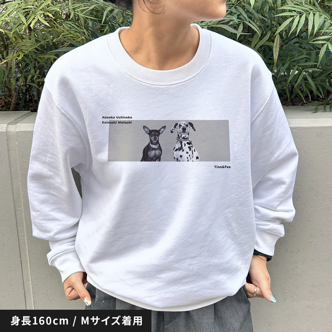 愛犬家のためのうちの子スウェット【カラーボックス】 – ワンコnowa