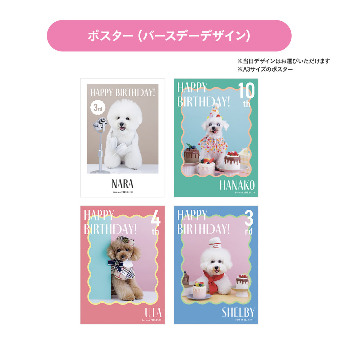 ぴょっこりワンコ撮影＆受注会 チケット【2026年1月25日】