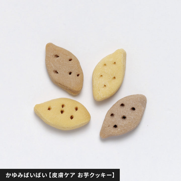 nowa cube 犬用サプリおやつ ５種セット【新パッケージ】