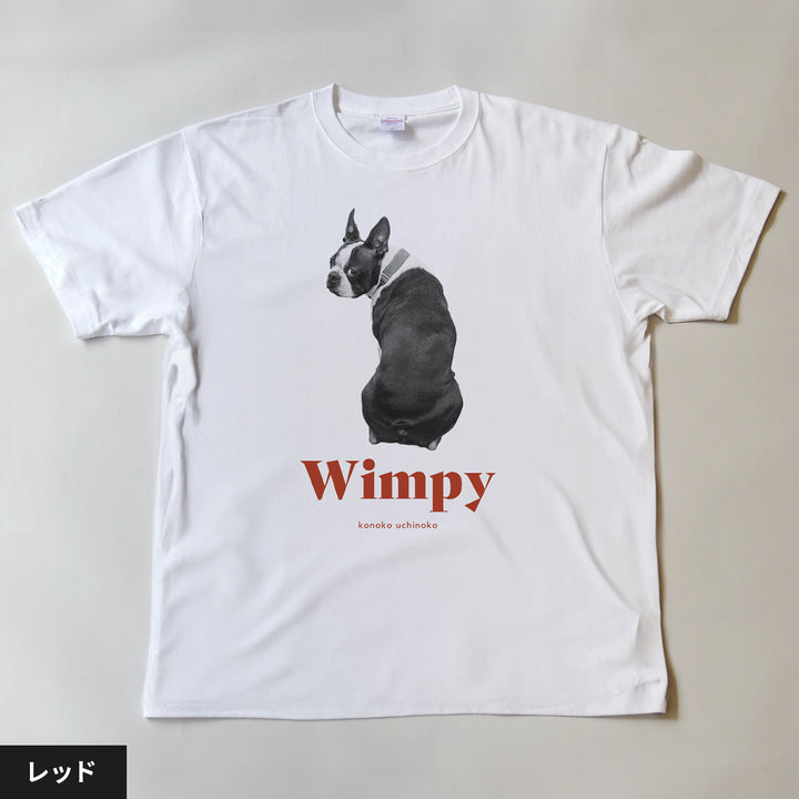 [A designer's collection 2026] ヴィンテージ（グリーン）