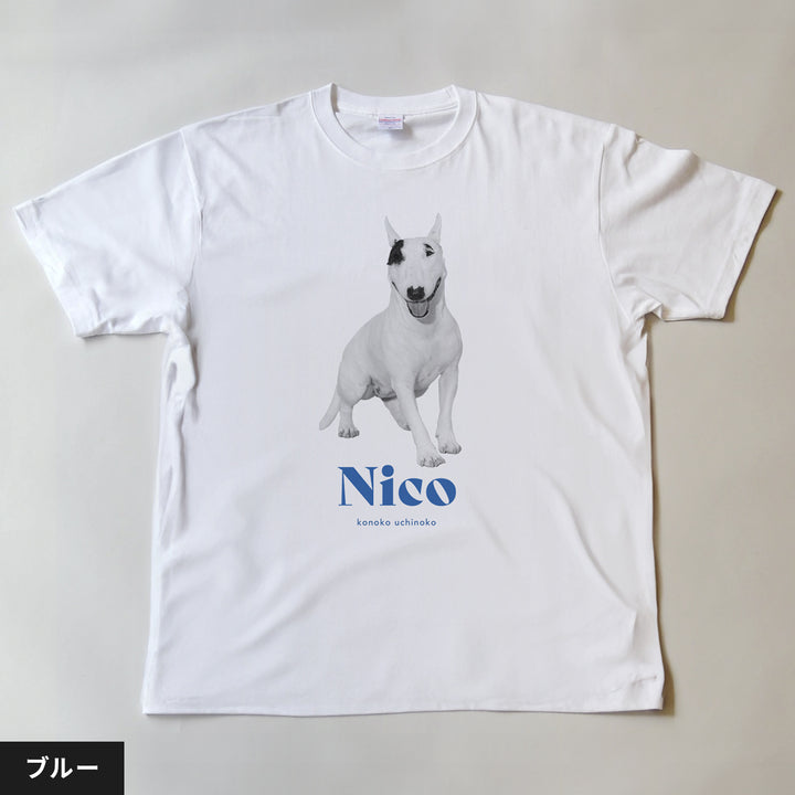 [A designer's collection 2026] ヴィンテージ（グリーン）