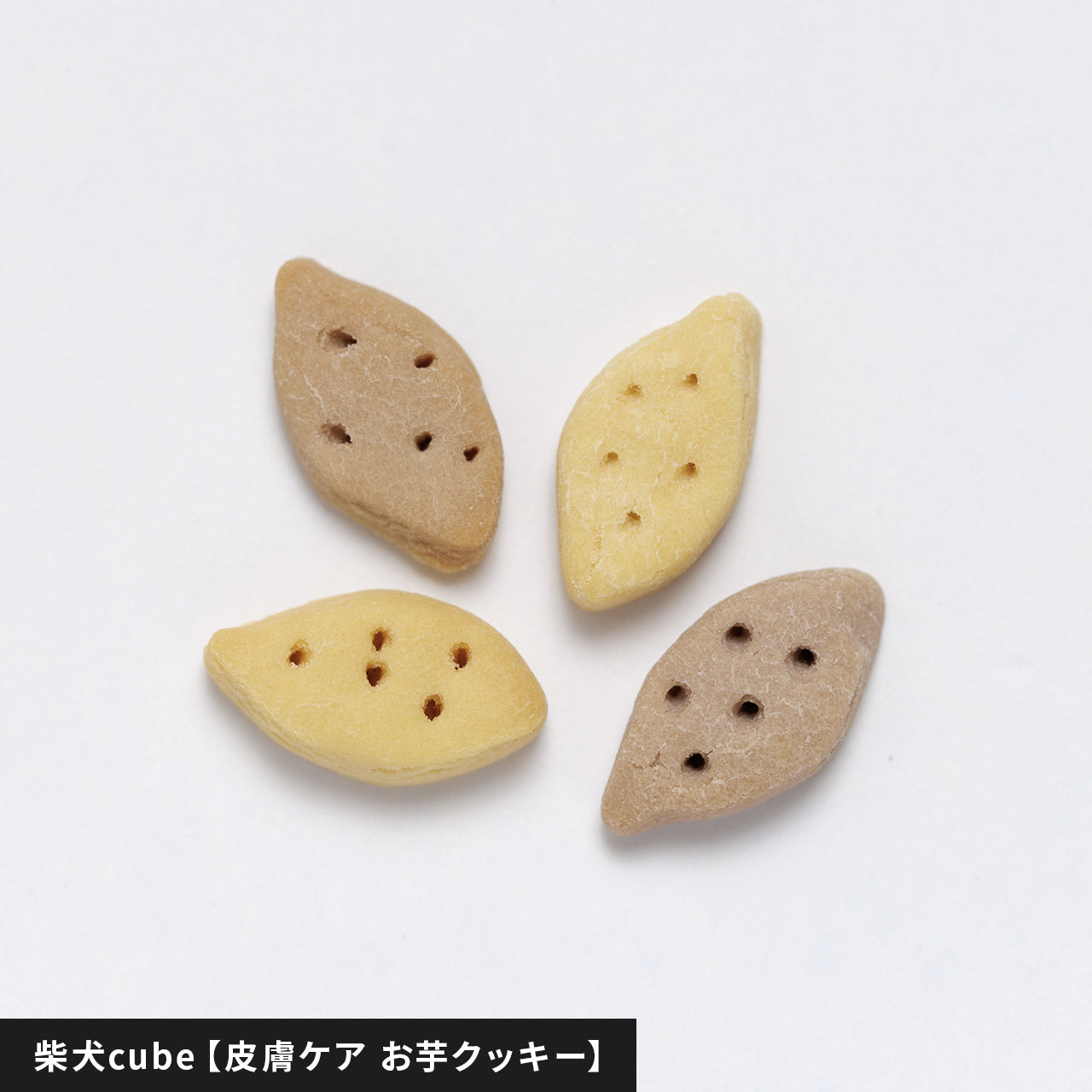 nowa cube 犬用サプリおやつ 5種セット – ワンコnowa THE STORE nowa cube 犬用サプリおやつ 5種セット – ワンコnowa THE STORE