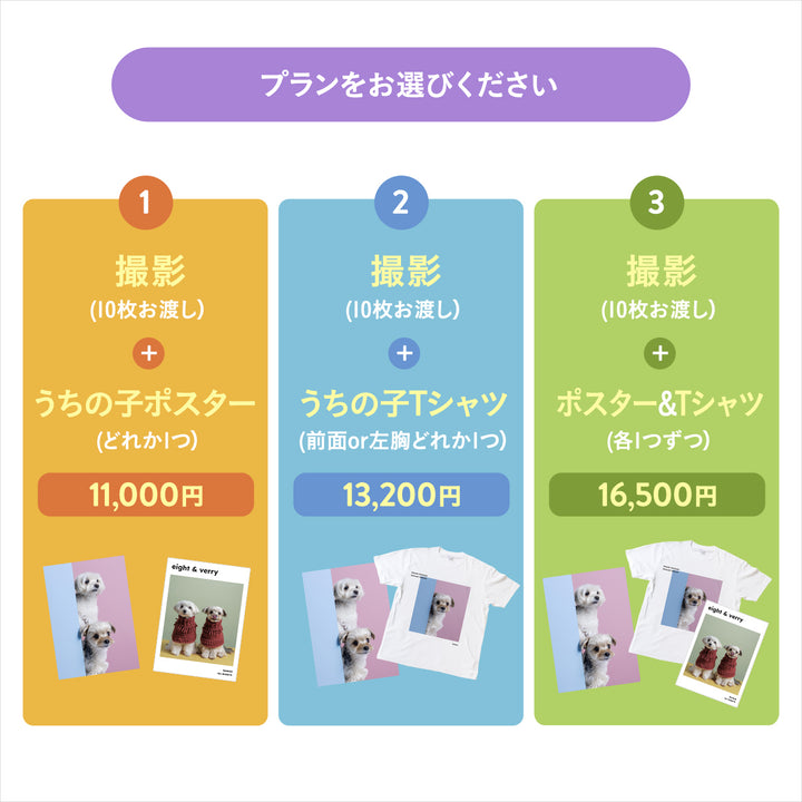 ぴょっこりワンコ撮影＆受注会 チケット 8/30
