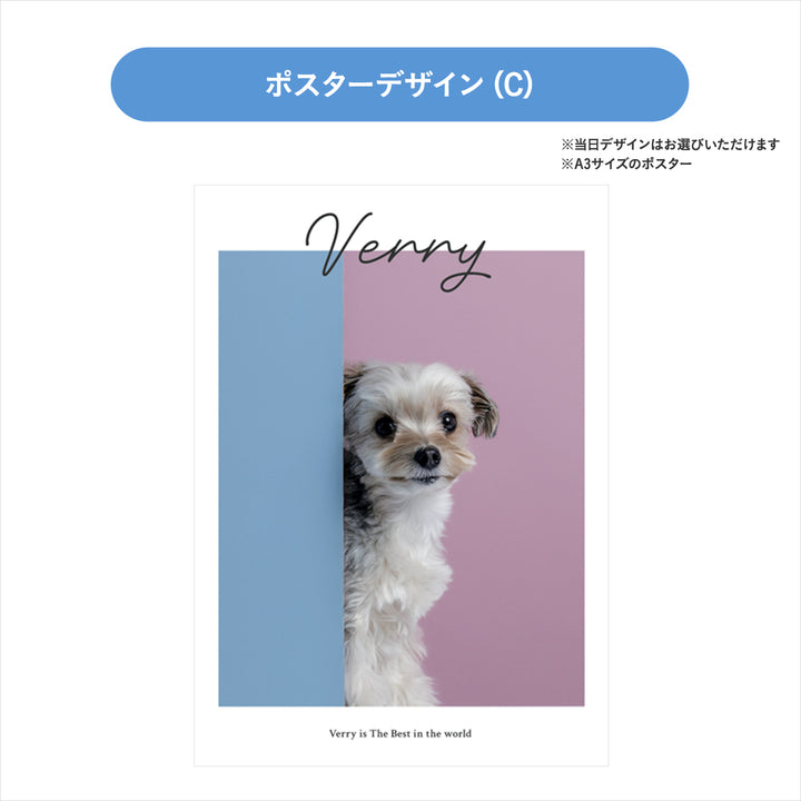 ぴょっこりワンコ撮影＆受注会 チケット 8/30