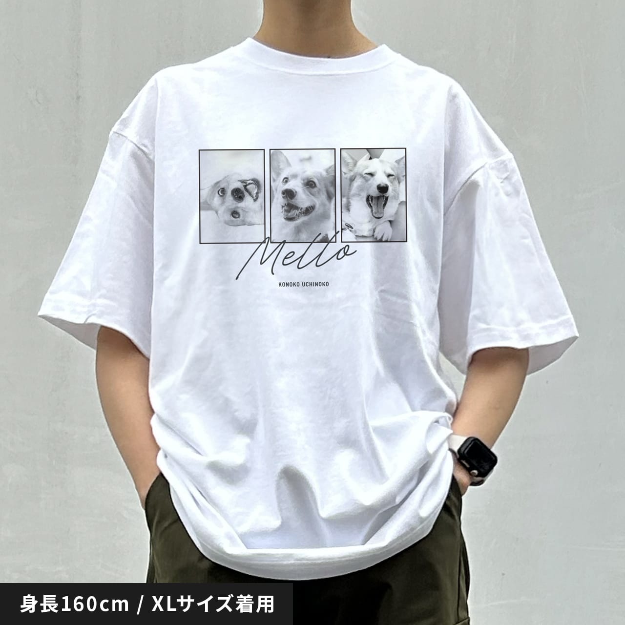 うちの子Tシャツ（ストーリー） – ワンコnowa THE STORE